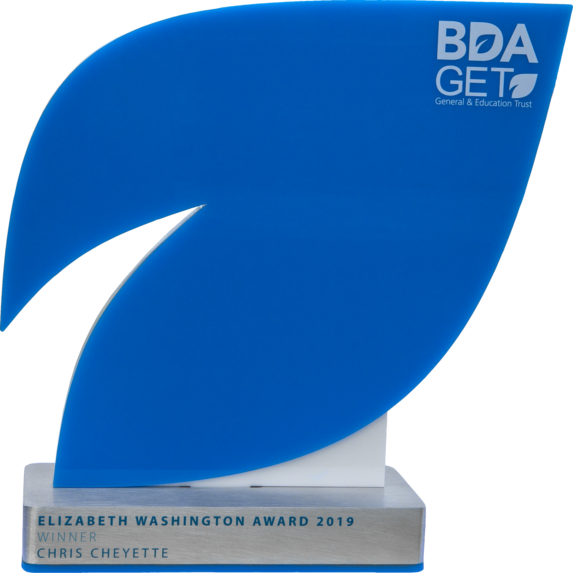 BDA British Dietetic Association Awards Winner Trophy 2019