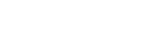 Nipro Logo