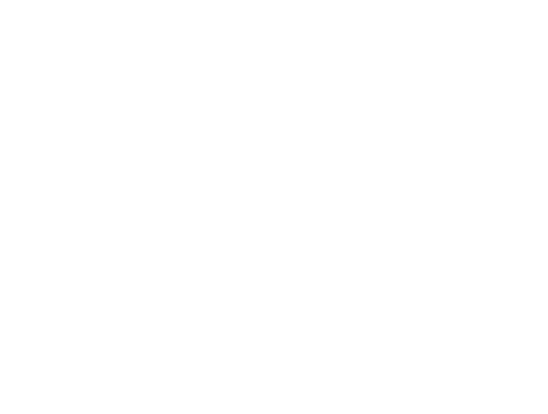 Novo Nordisk Logo