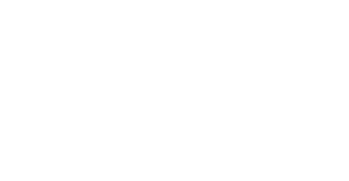 Roche Logo