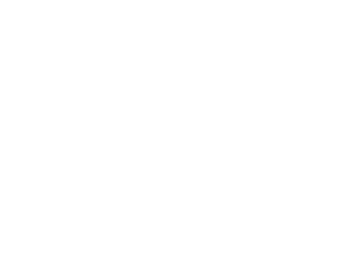 Spring Chicken Logo