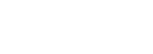 Virgincare Logo