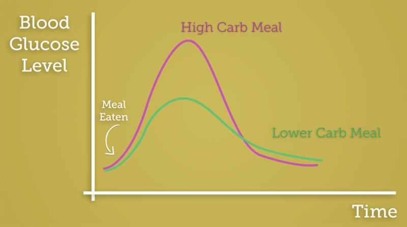 What Happens to Blood Glucose After a Meal? Quick Guide