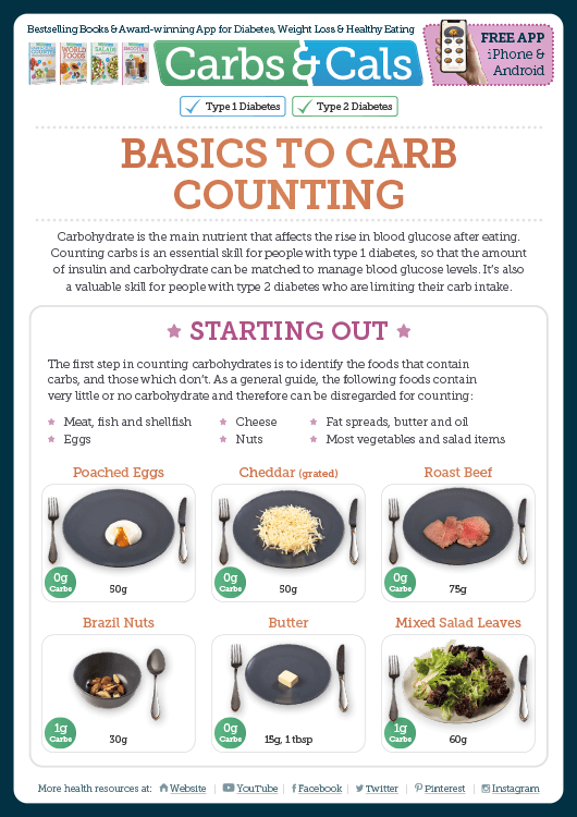 Carbs & Cals Info Guide - Basics to Carb Counting