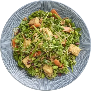 Tofu Harusame Glass Noodle Salad A portion of Tofu Harusame Glass Noodle Salad from Wagamama