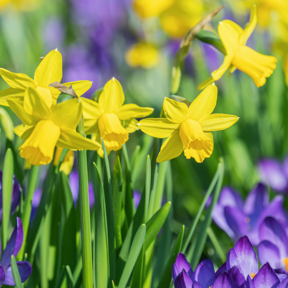 Why blood glucose changes with the seasons