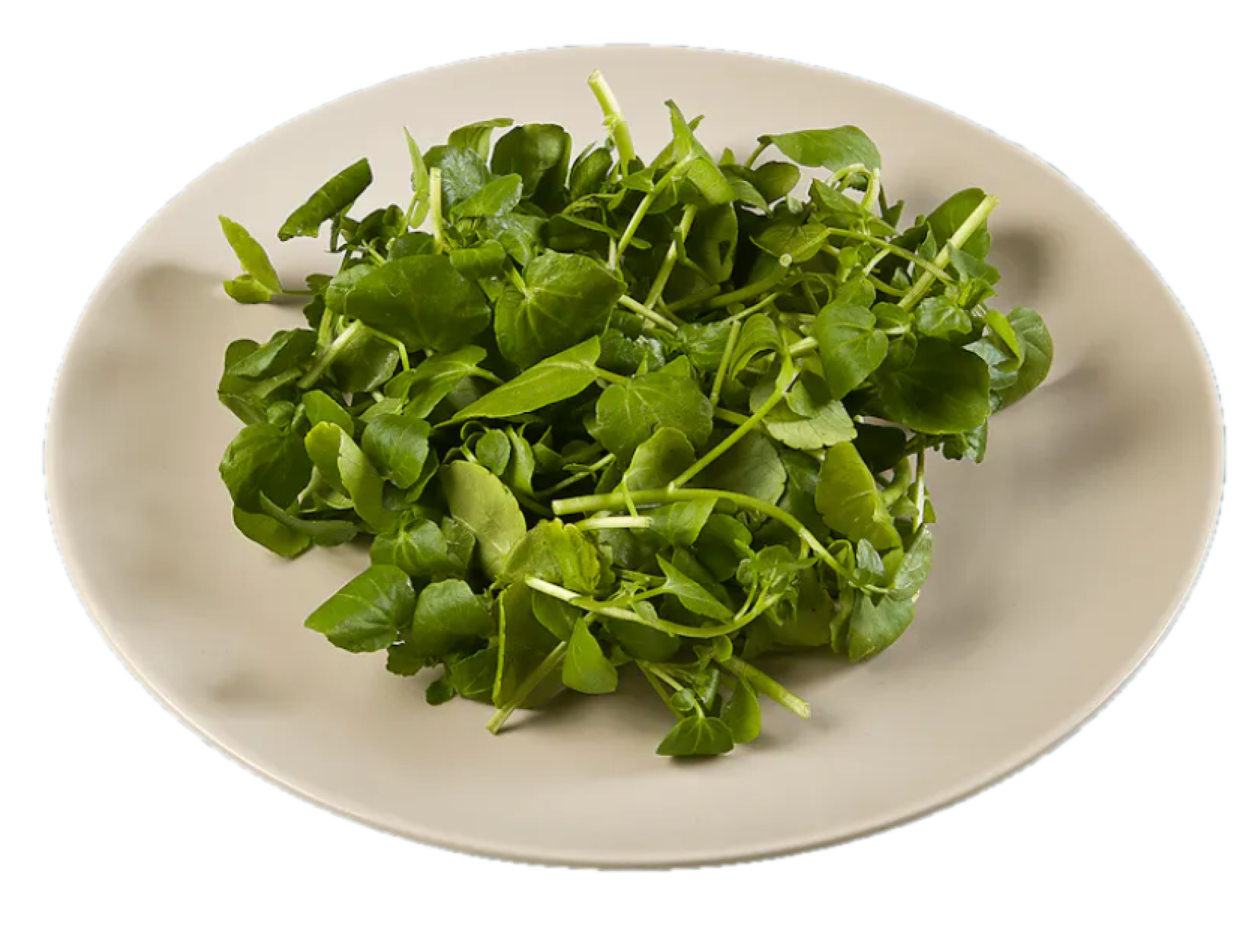 40g portion of watercress